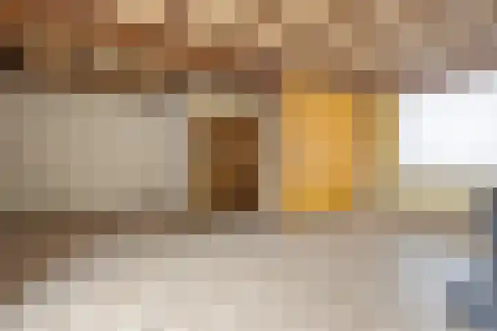 Hondsklauw 5 Sint-Michielsgestel thumbnail 8