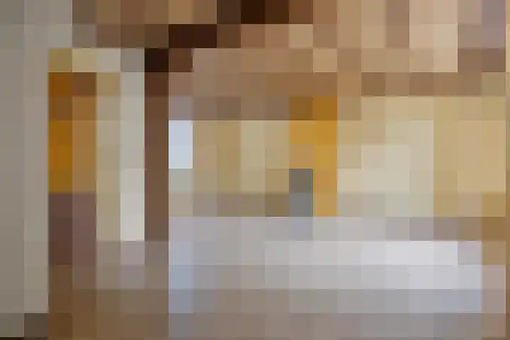 Hondsklauw 5 Sint-Michielsgestel thumbnail 9