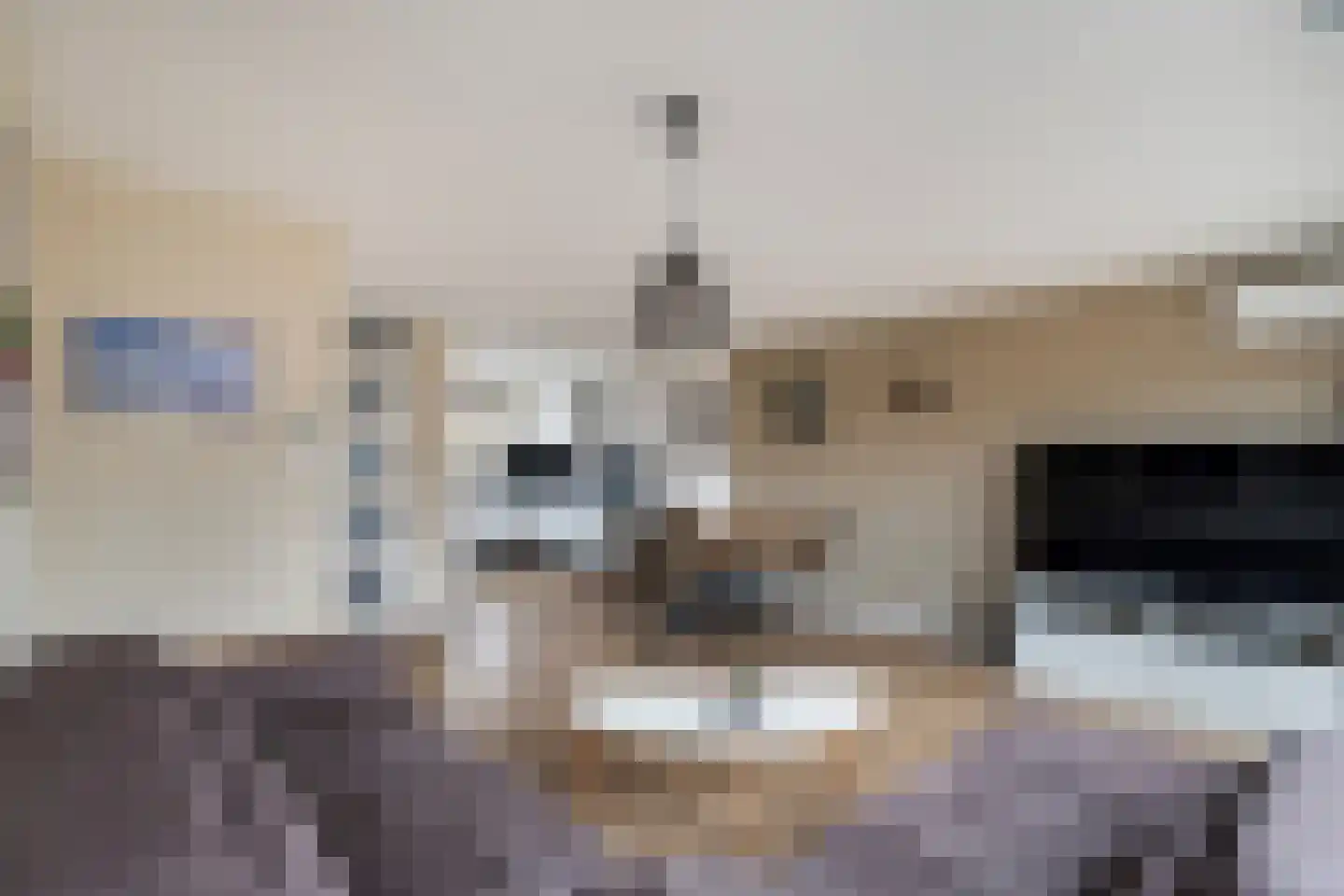 Hondskruid 14 Katwijk thumbnail 11