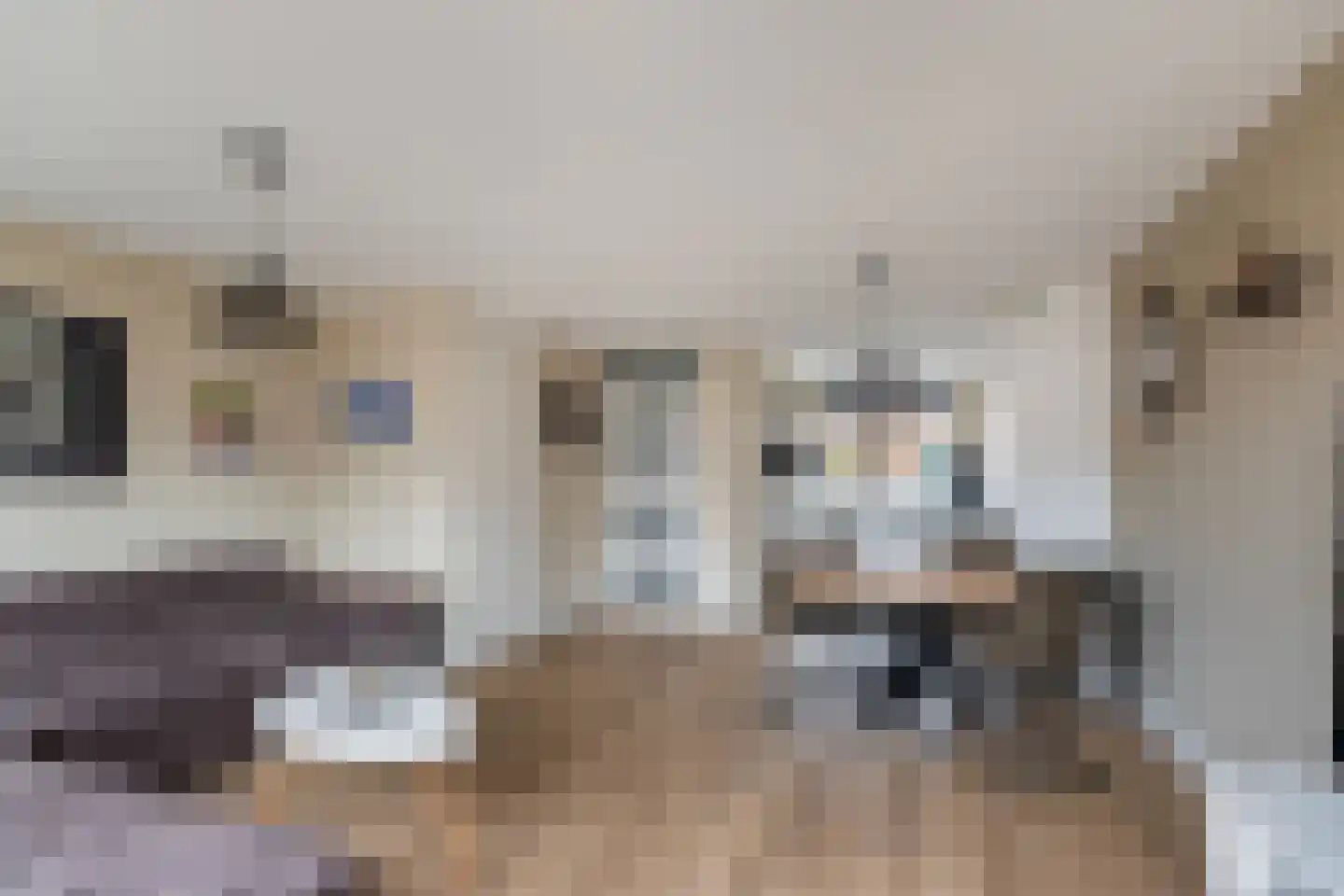 Hondskruid 14 Katwijk thumbnail 12