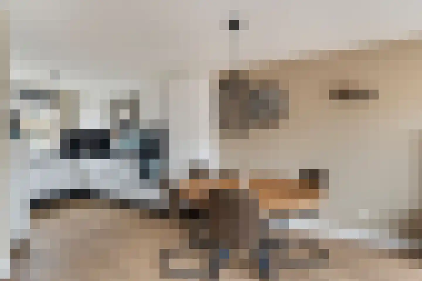 Hondskruid 14 Katwijk thumbnail 13