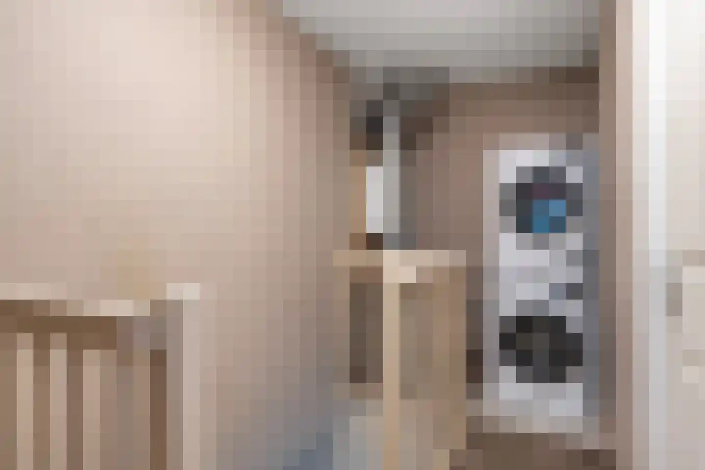 Hondskruid 14 Katwijk thumbnail 30
