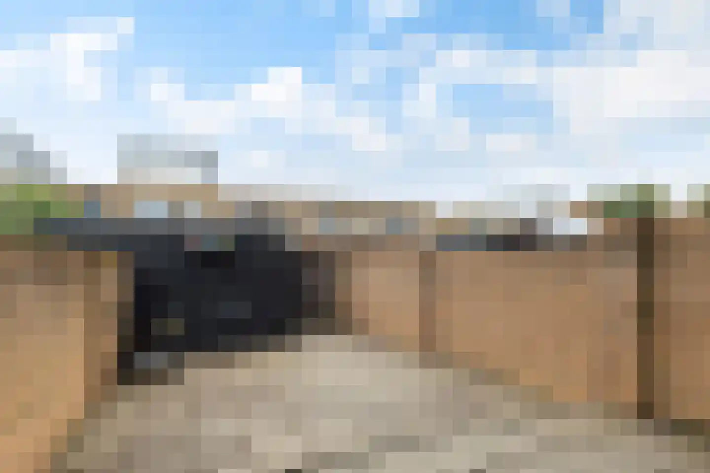 Hondskruid 14 Katwijk thumbnail 33