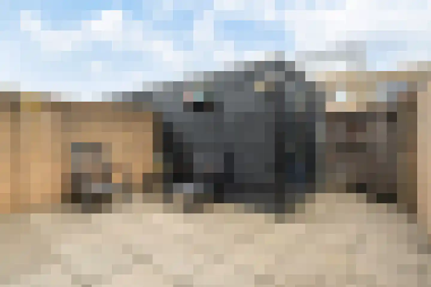 Hondskruid 14 Katwijk thumbnail 34