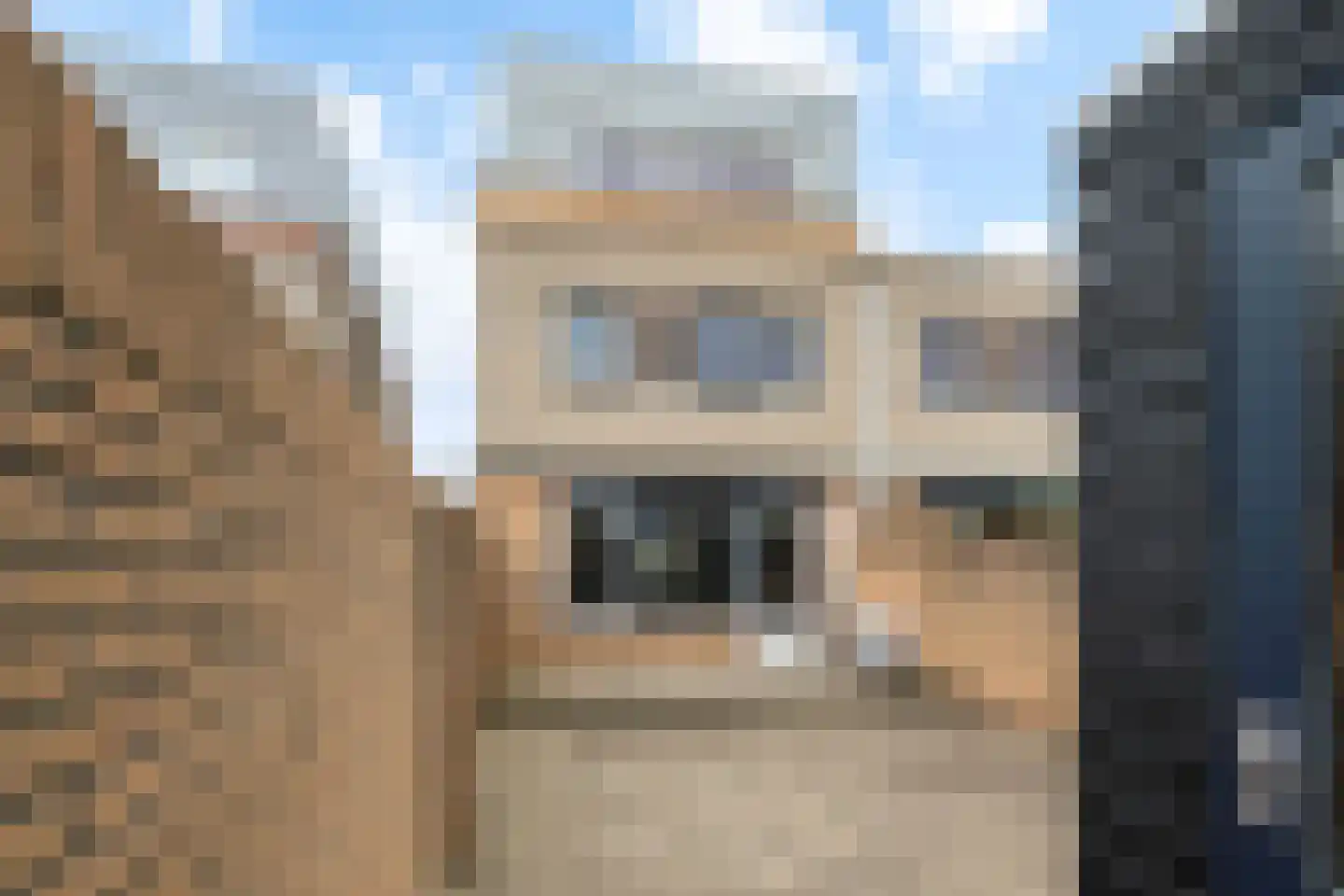 Hondskruid 14 Katwijk thumbnail 35