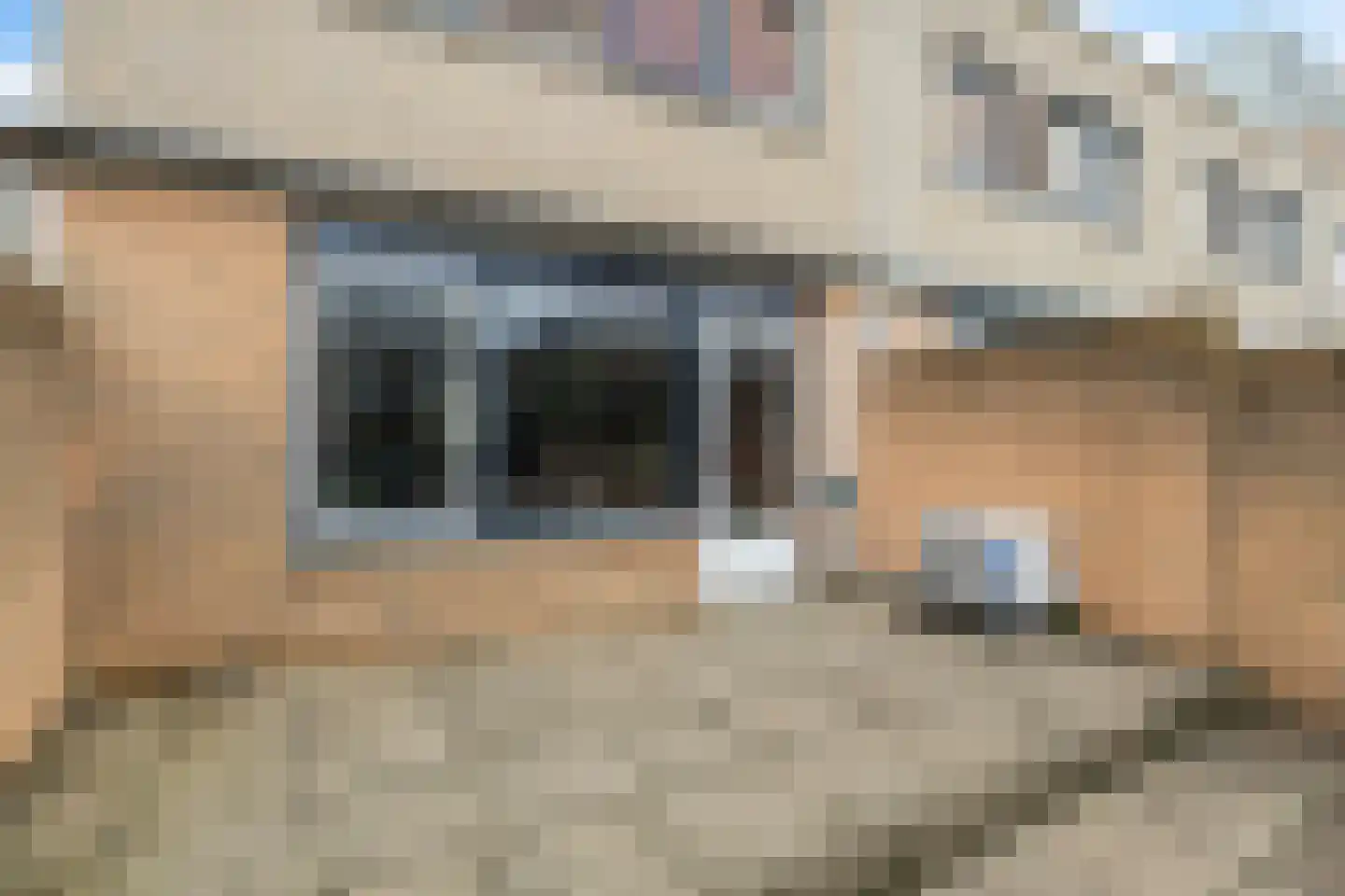 Hondskruid 14 Katwijk thumbnail 36