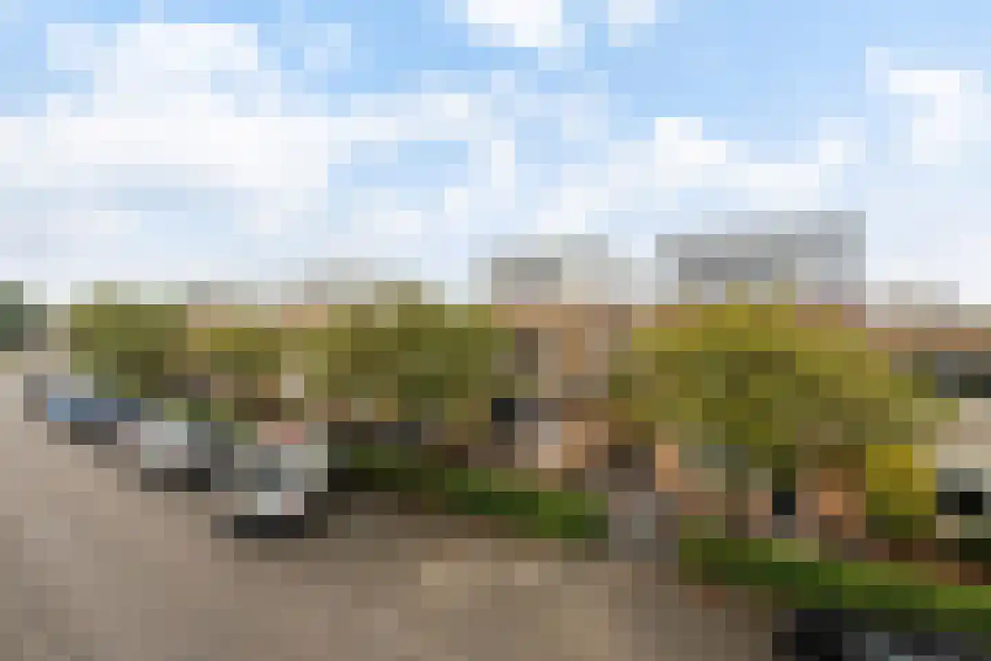 Hondskruid 14 Katwijk thumbnail 38