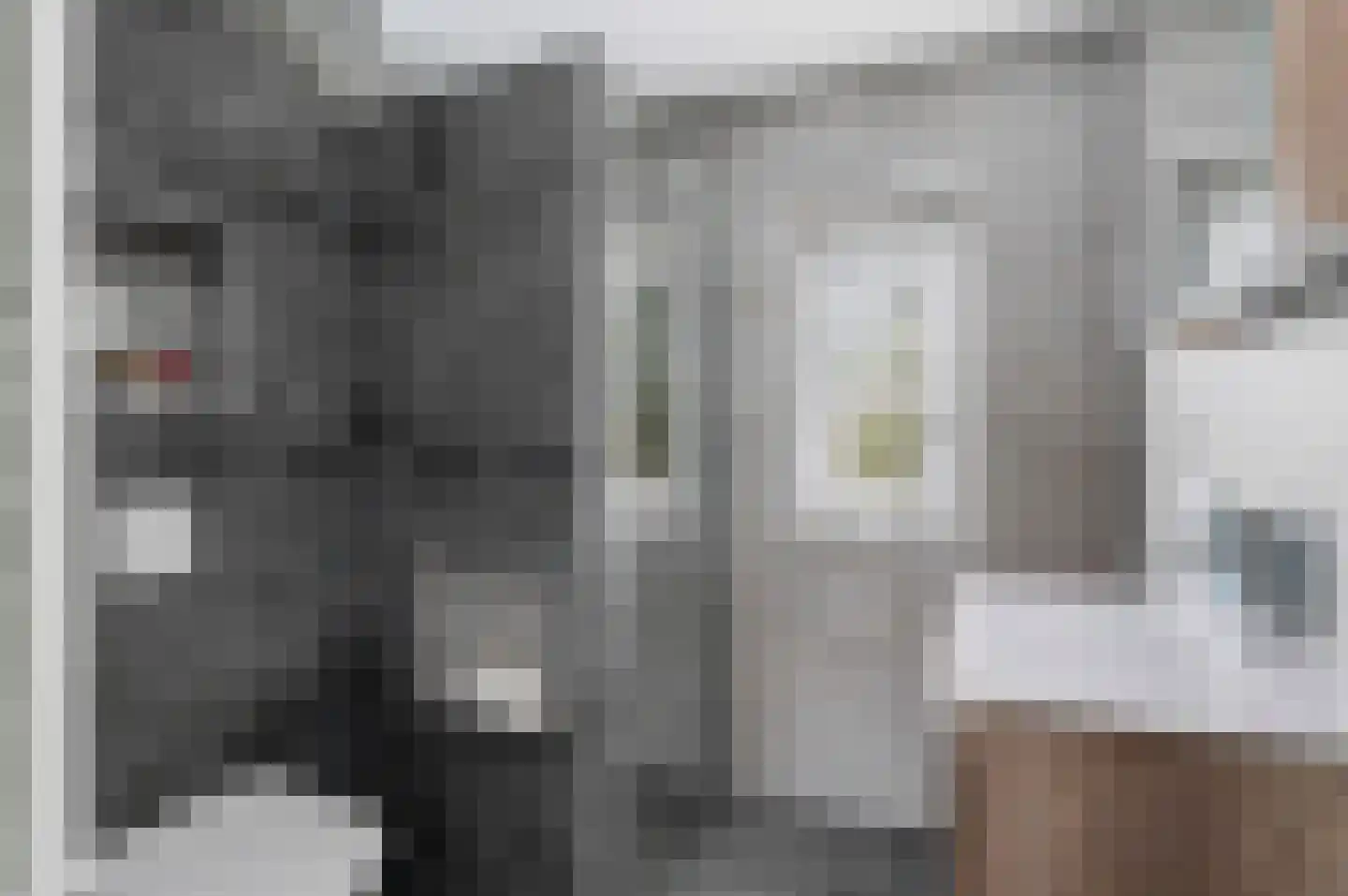 Hondskruid 14 Katwijk thumbnail 5