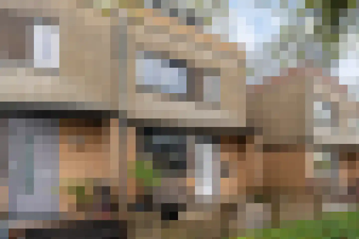 Hondskruid 14 Katwijk thumbnail 6