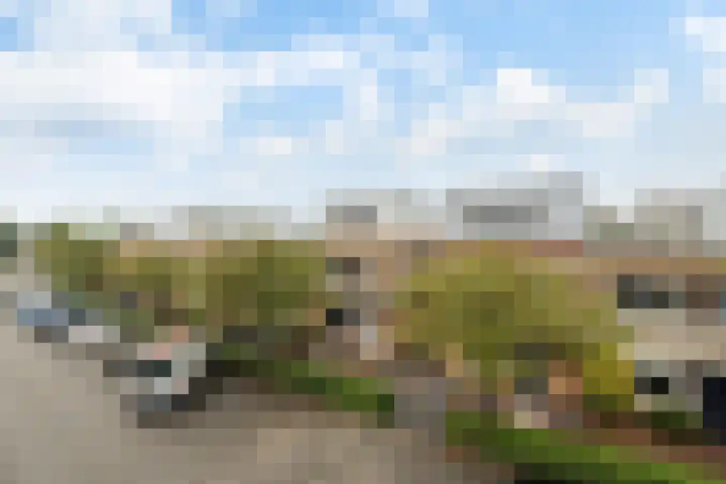 Hondskruid 14 Katwijk thumbnail 7