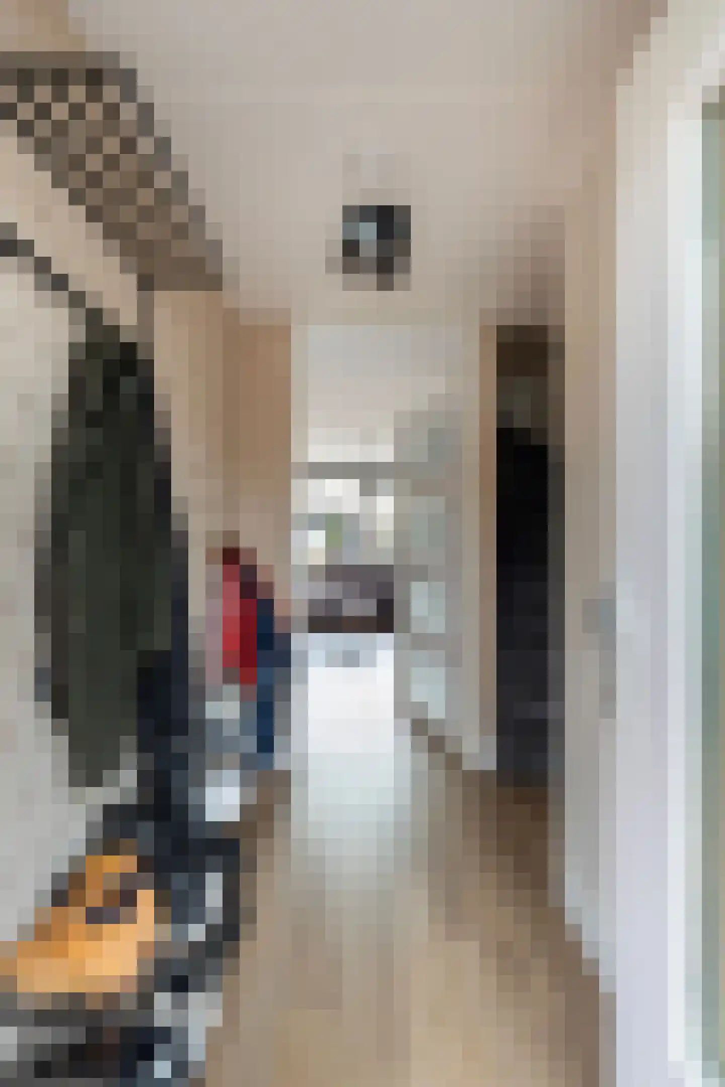 Hondskruid 14 Katwijk thumbnail 9