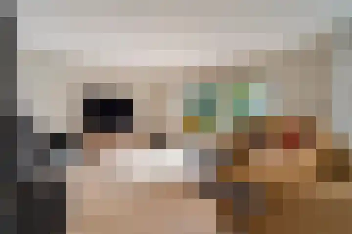 Hondsroos 21 Dedemsvaart thumbnail 10