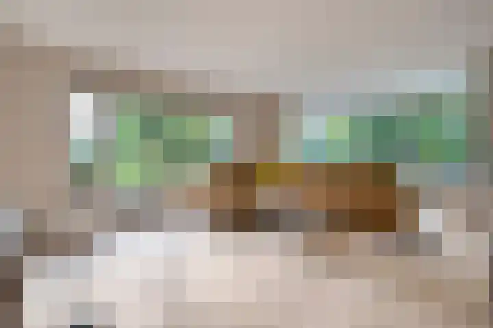 Hondsroos 21 Dedemsvaart thumbnail 11