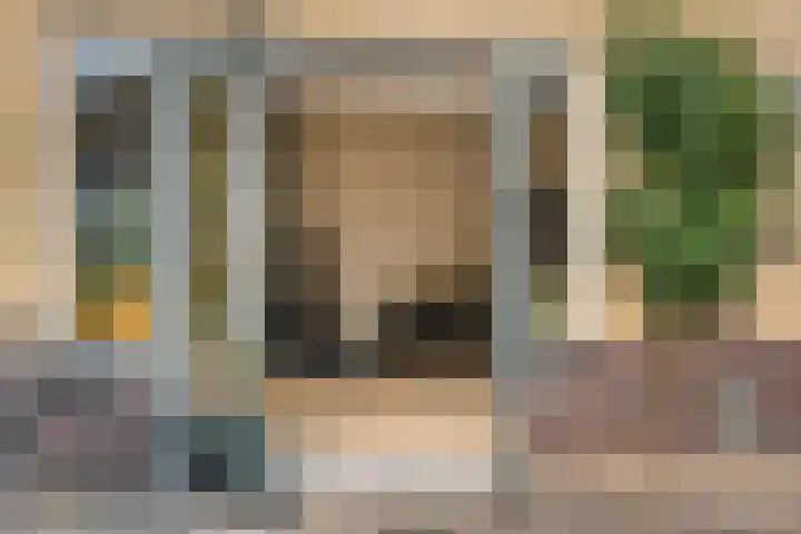 Hondsroos 21 Dedemsvaart thumbnail 16