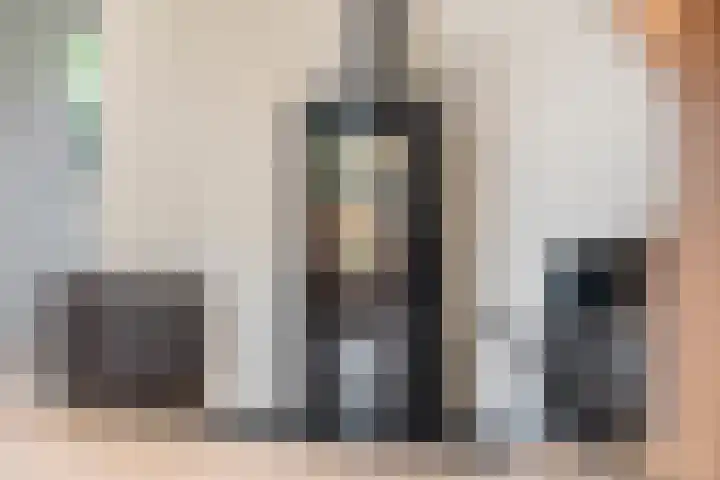 Hondsroos 21 Dedemsvaart thumbnail 17
