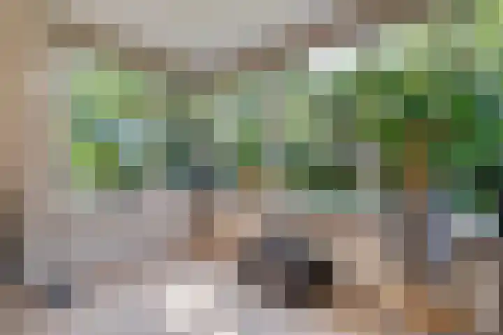 Hondsroos 21 Dedemsvaart thumbnail 18