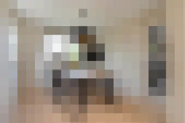 Hondsroos 21 Dedemsvaart thumbnail 19