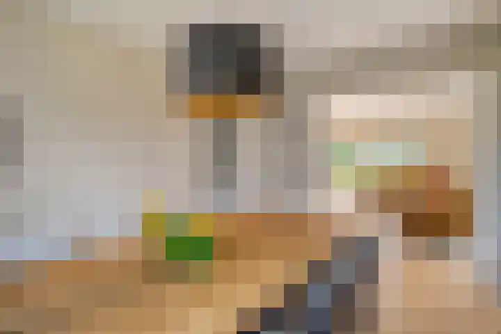 Hondsroos 21 Dedemsvaart thumbnail 20
