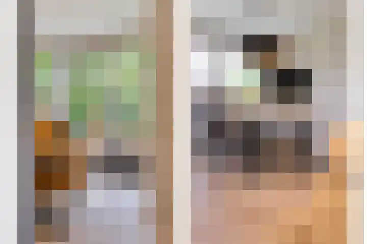 Hondsroos 21 Dedemsvaart thumbnail 21