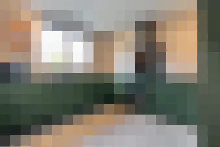 Hondsroos 21 Dedemsvaart thumbnail 22