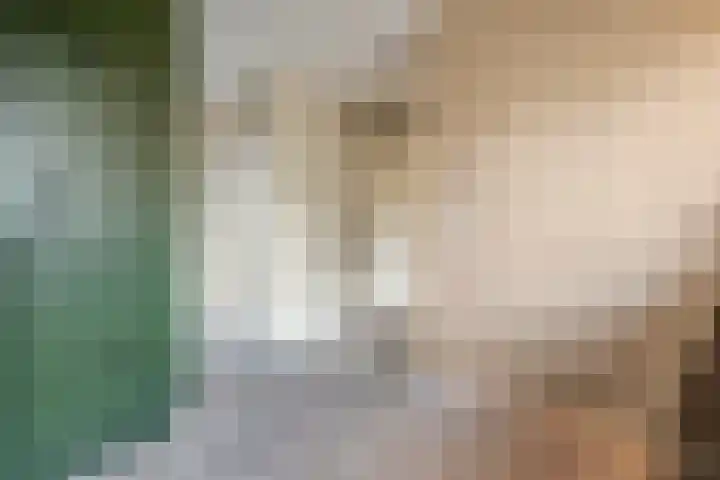 Hondsroos 21 Dedemsvaart thumbnail 24