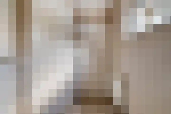 Hondsroos 21 Dedemsvaart thumbnail 25