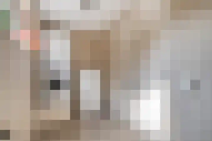 Hondsroos 21 Dedemsvaart thumbnail 26