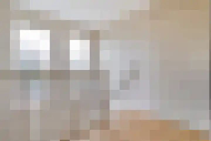 Hondsroos 21 Dedemsvaart thumbnail 27