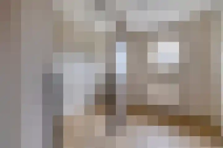 Hondsroos 21 Dedemsvaart thumbnail 28