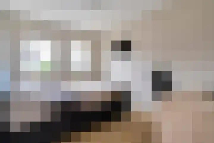 Hondsroos 21 Dedemsvaart thumbnail 29