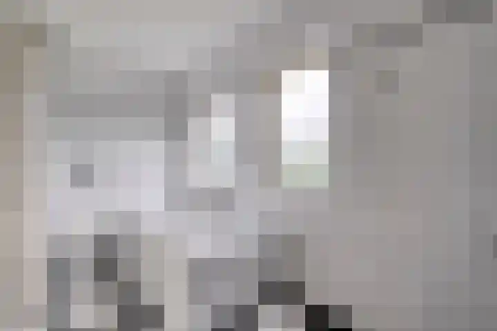 Hondsroos 21 Dedemsvaart thumbnail 30