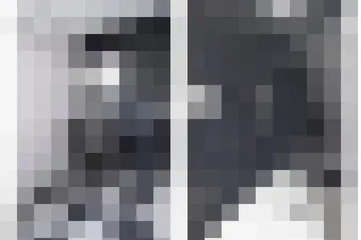 Hondsroos 21 Dedemsvaart thumbnail 31