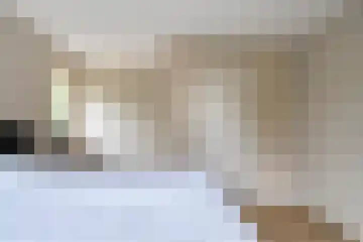 Hondsroos 21 Dedemsvaart thumbnail 33