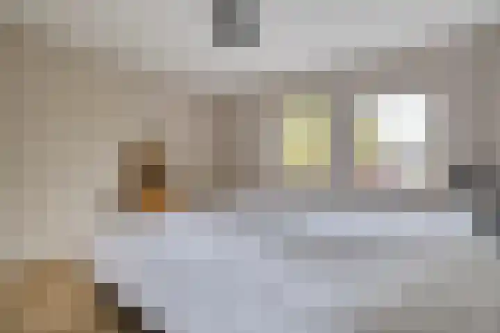 Hondsroos 21 Dedemsvaart thumbnail 34