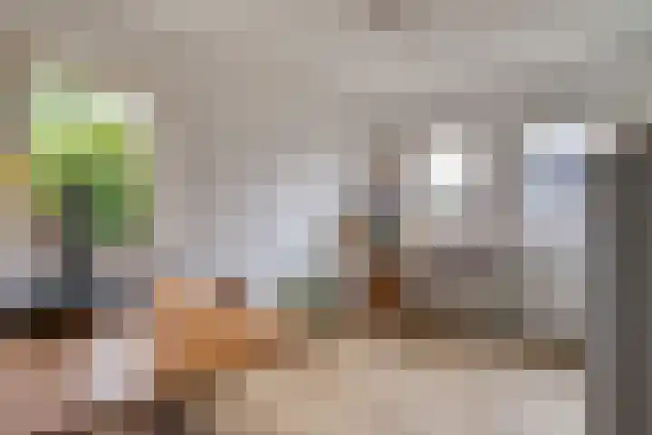 Hondsroos 21 Dedemsvaart thumbnail 35