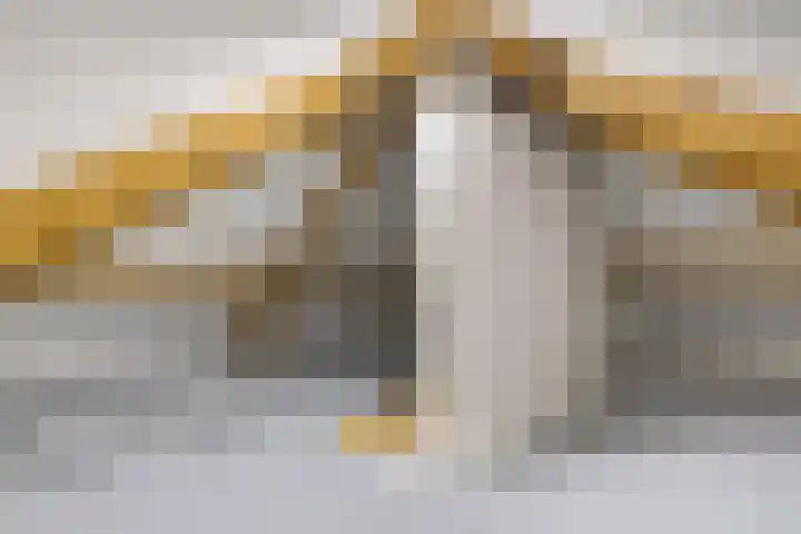 Hondsroos 21 Dedemsvaart thumbnail 37