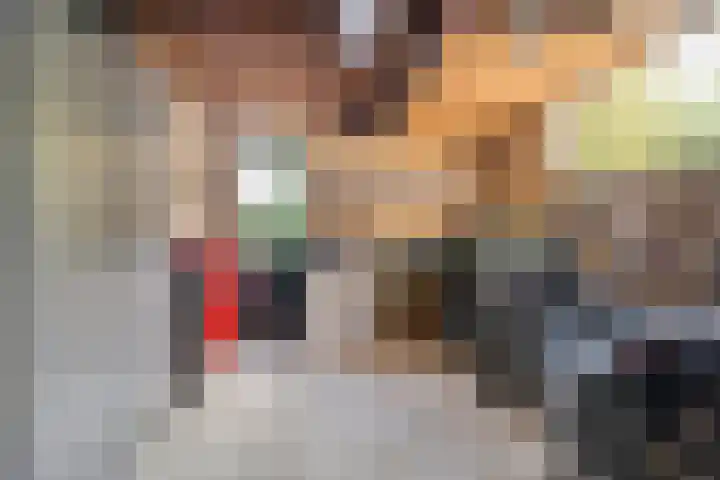 Hondsroos 21 Dedemsvaart thumbnail 38