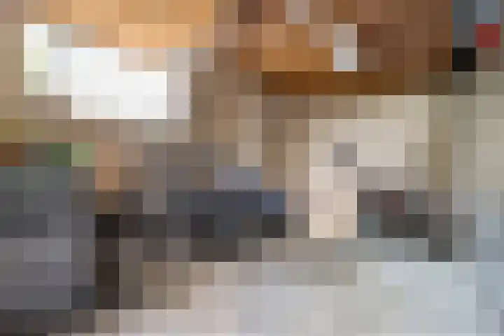 Hondsroos 21 Dedemsvaart thumbnail 39