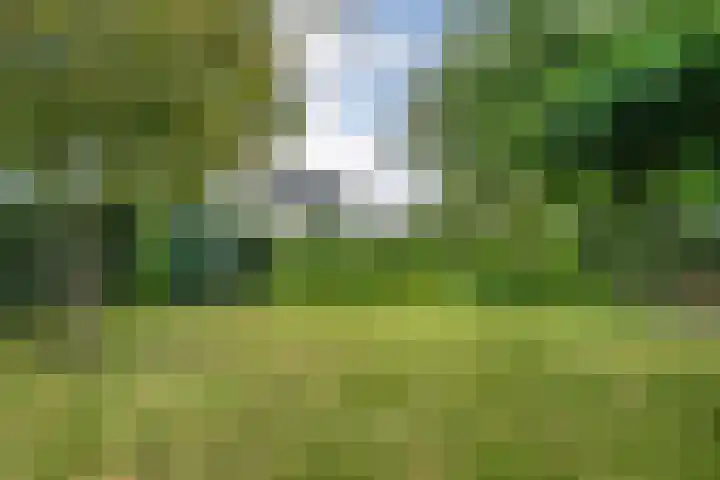 Hondsroos 21 Dedemsvaart thumbnail 41