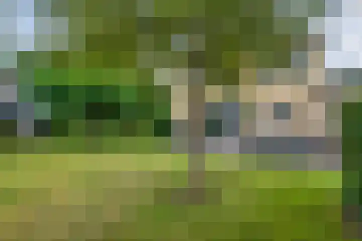 Hondsroos 21 Dedemsvaart thumbnail 42