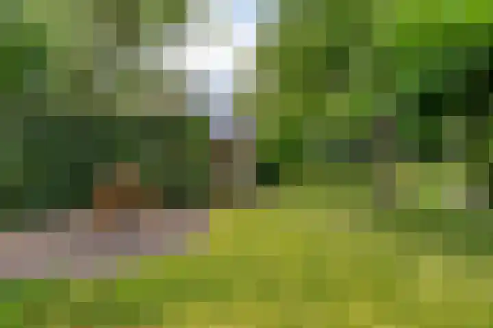 Hondsroos 21 Dedemsvaart thumbnail 45