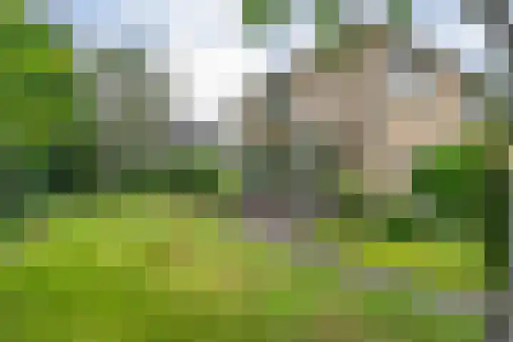Hondsroos 21 Dedemsvaart thumbnail 46