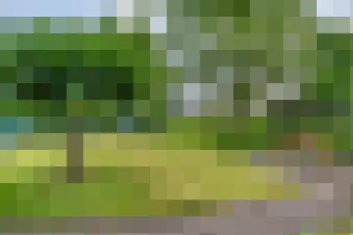 Hondsroos 21 Dedemsvaart thumbnail 49