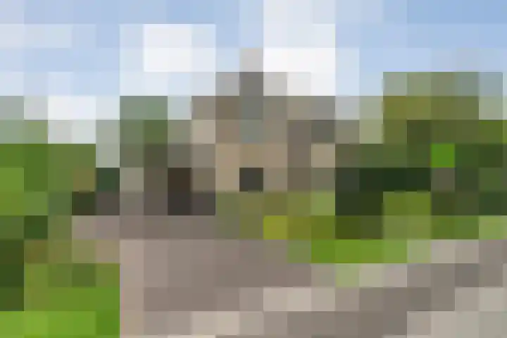 Hondsroos 21 Dedemsvaart thumbnail 5