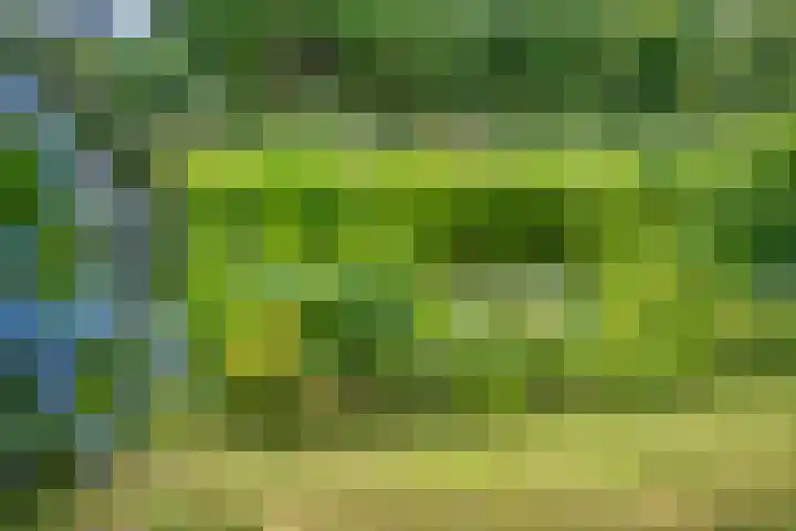 Hondsroos 21 Dedemsvaart thumbnail 50