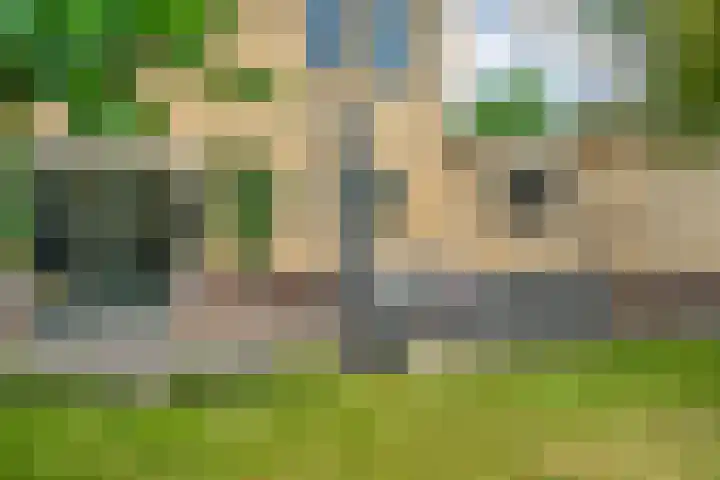 Hondsroos 21 Dedemsvaart thumbnail 51