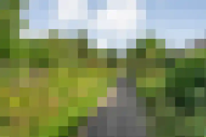 Hondsroos 21 Dedemsvaart thumbnail 53