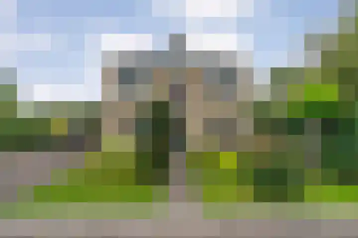 Hondsroos 21 Dedemsvaart thumbnail 55