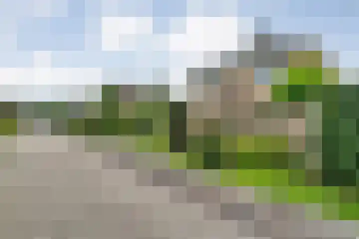 Hondsroos 21 Dedemsvaart thumbnail 56