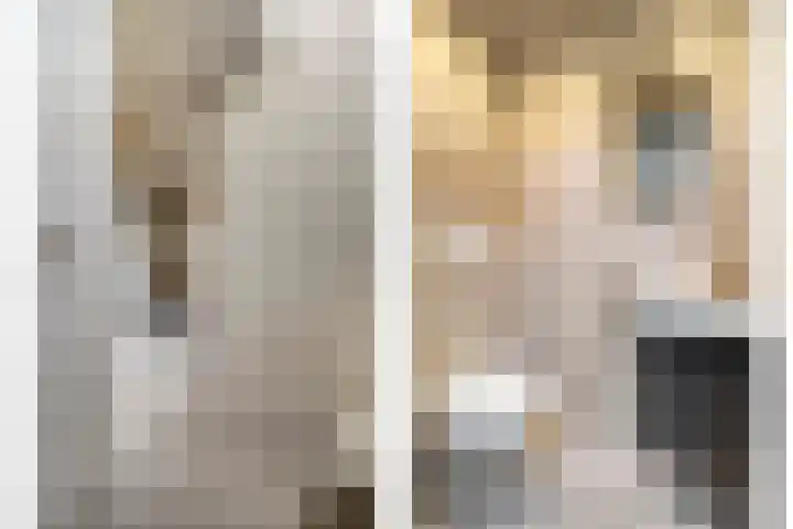 Hondsroos 21 Dedemsvaart thumbnail 6